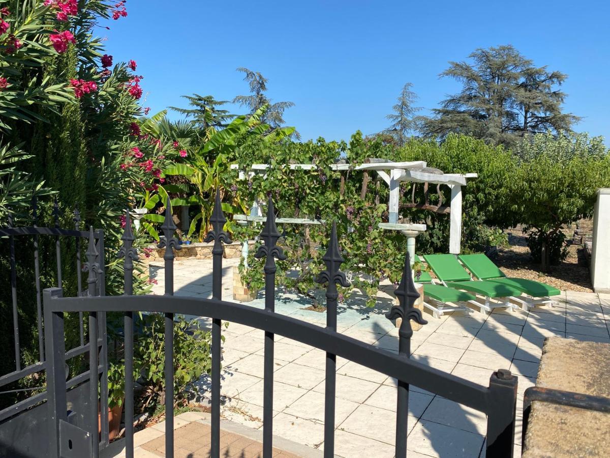 Chambres Privees Dans Maison Avec Grand Parc Et Piscine Proche Via Rhona Andancette Bagian luar foto